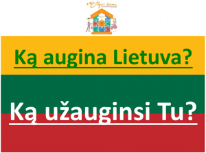 Seminaras poroms Nr.4 kaip sutarti dėl vaikų auklėjimo
