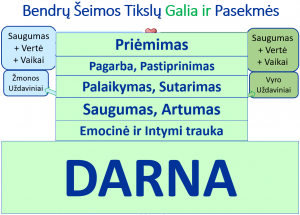 Seminaras poroms Nr. 6 Bendras šeimos tikslas ir Vizija skirtas poroms norinčioms sukurti Stipri Šeima